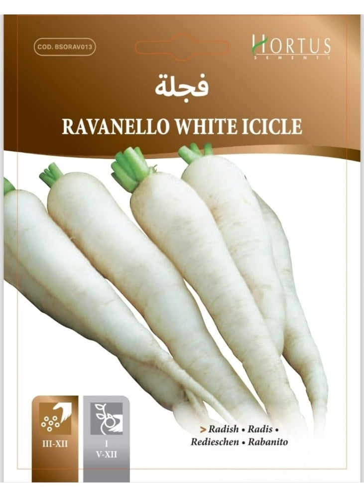 ICICLE White Radish Seeds